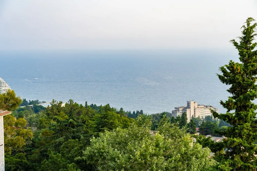 Апартаменты 60 м², Моравия, Сочи – фото 3