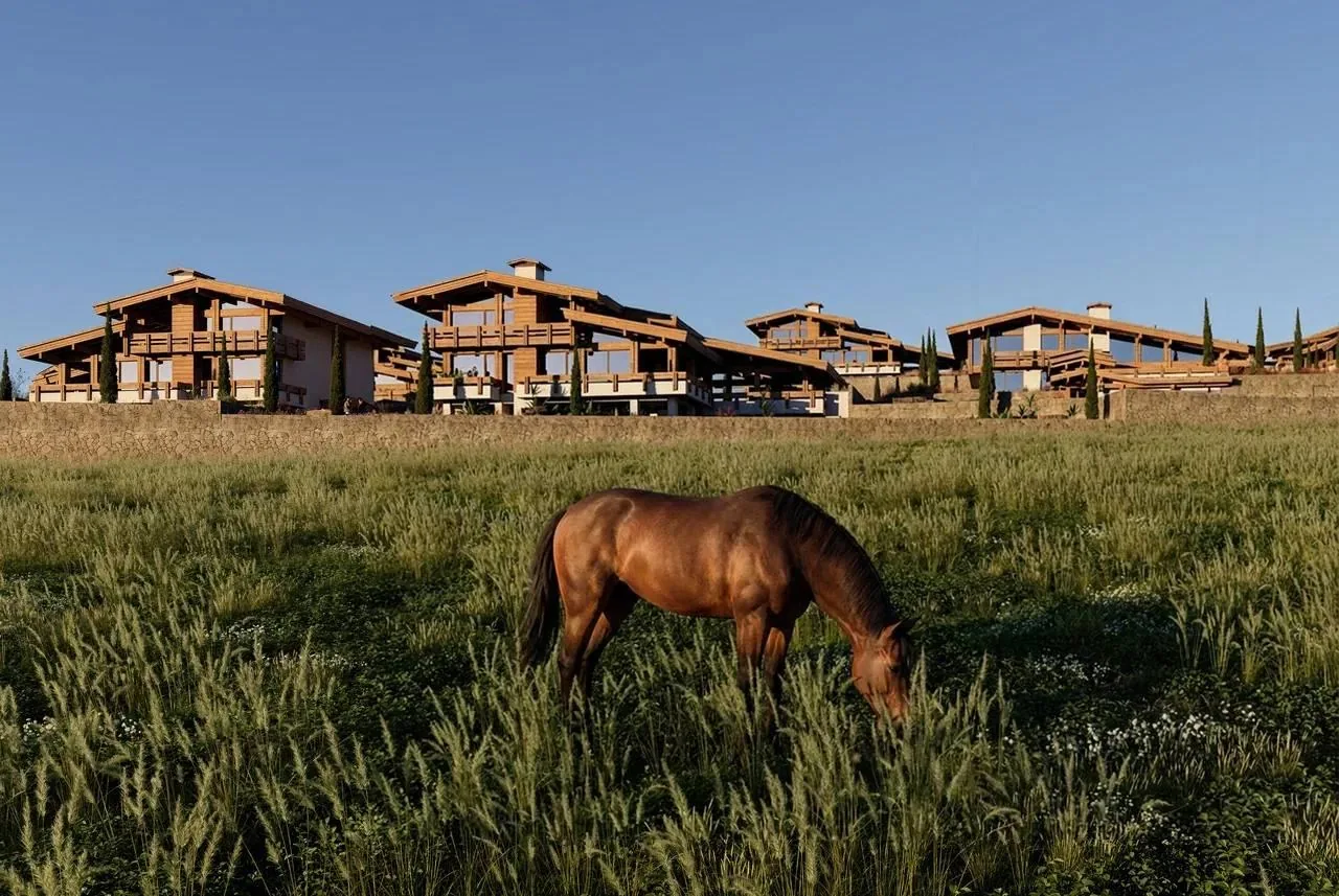 Дом 300 м², участок 10 соток, Chalet Sayat, Сочи – фото 3