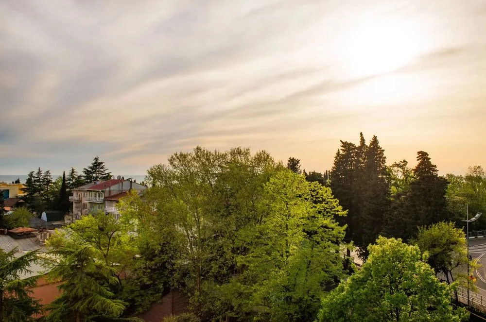 Квартира 81 м², 3-комн., Центральный район, Сочи – фото 13
